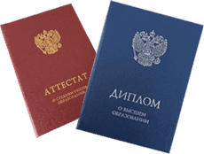 Высшее образование